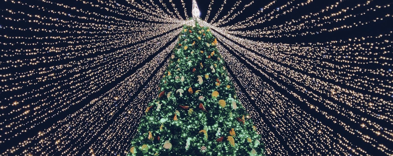 Stock image of a Christmas tree with lights trailing from the top